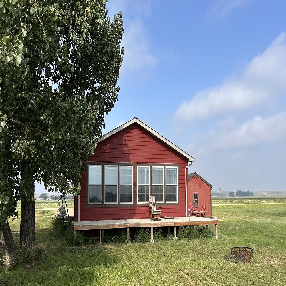 a house with trees in the background