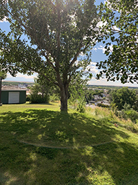 a large lawn in front of a house